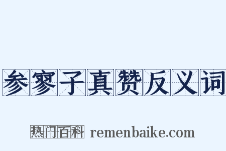 参寥子真赞反义词是什么意思的图片